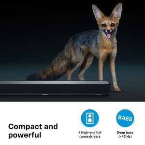 AMBEO Soundbar | Mini