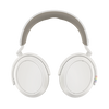 MOMENTUM 4 Wireless Pride Edition